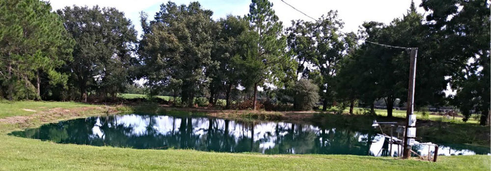 Lake Seminole Cabin Rentals Near Reynolds Landing